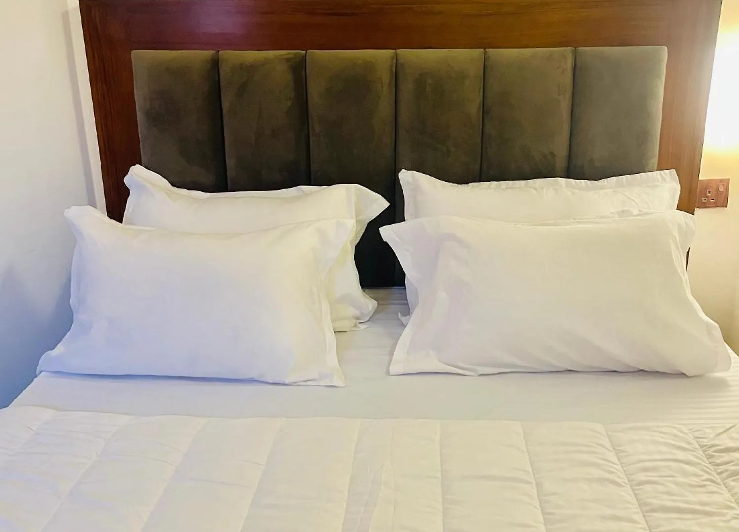 Vivid Colombo Hotel